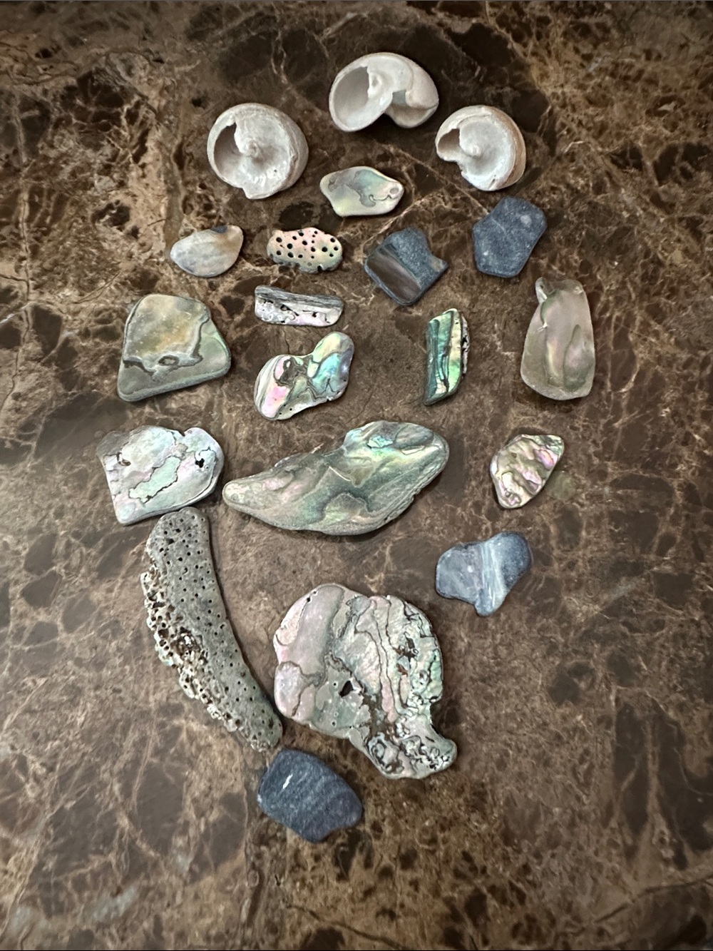 Assorted Abalone Shell & Seaside Pieces - Iridescent Blues & Greens